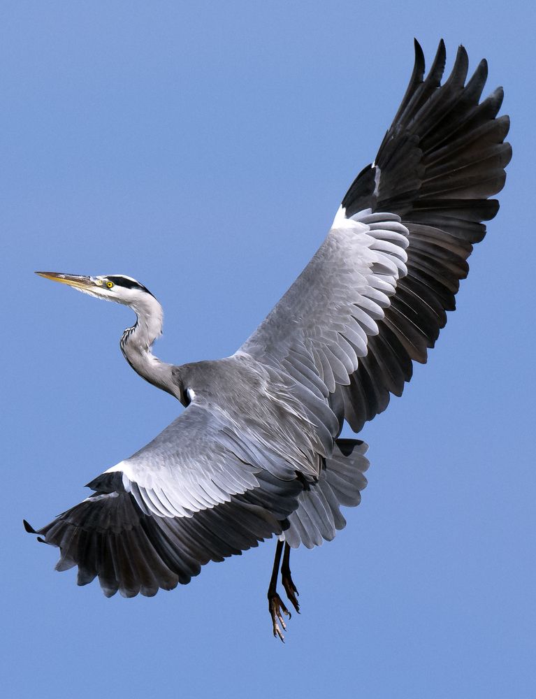 Photograph by Caruso Santino