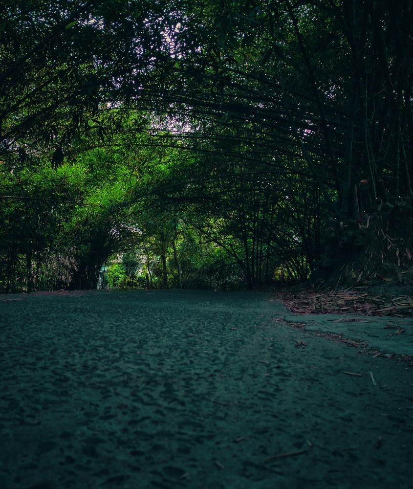 Фотография автора Anwesha Singha