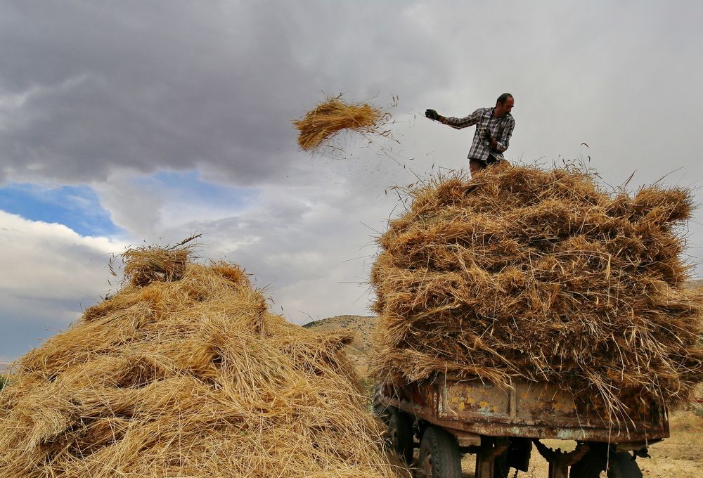 Photograph by mohammadreza behmaram