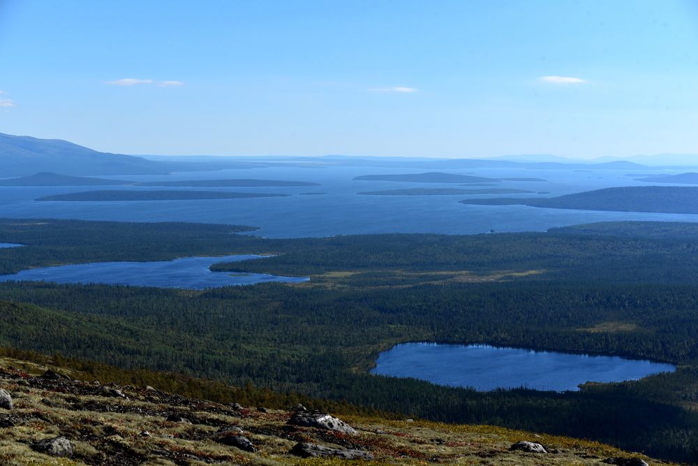 Photograph by Елизавета Чеснокова