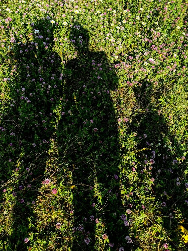 Photograph by Анна