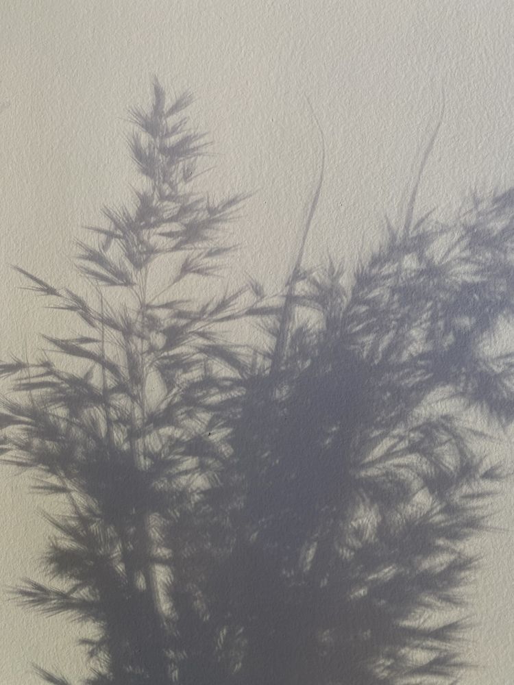 Photograph by Наталия Шляпина