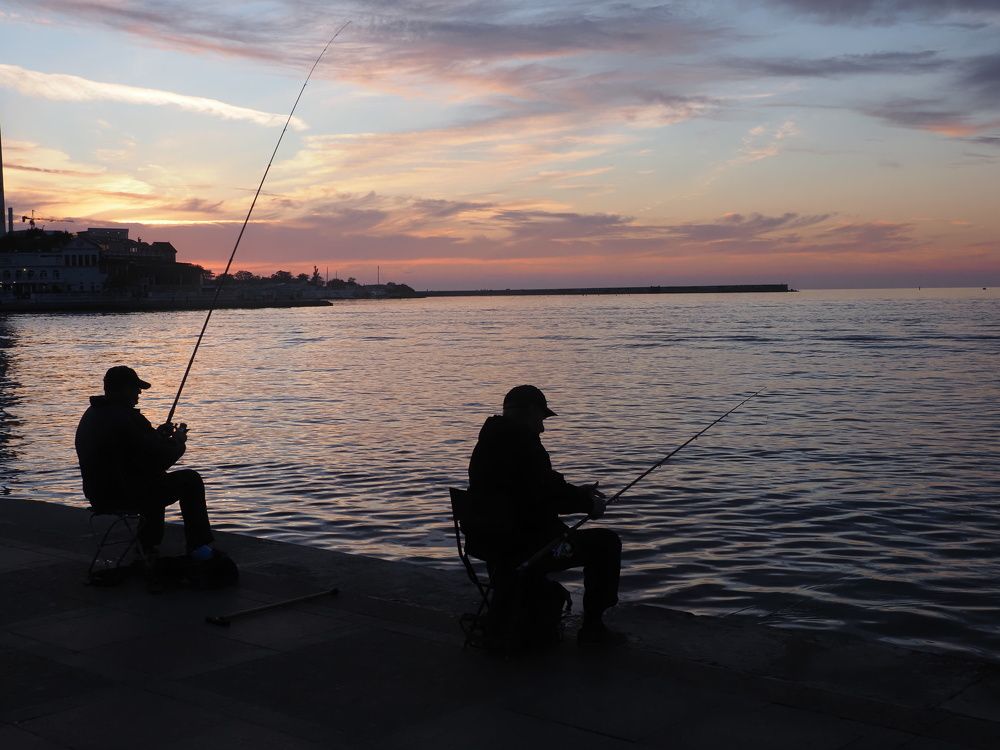 Photograph by Сергей Борисов