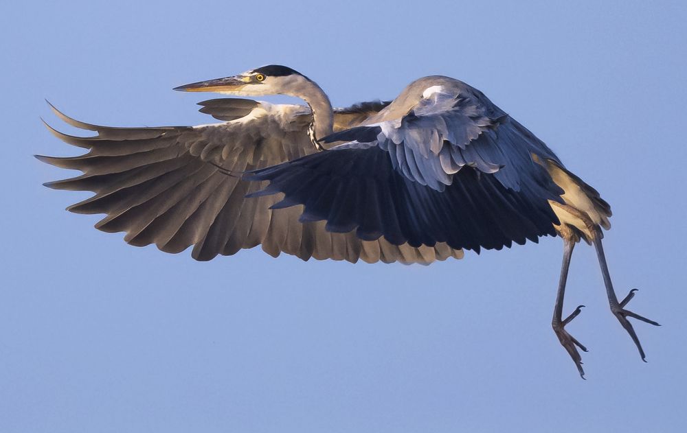 Photograph by Caruso Santino