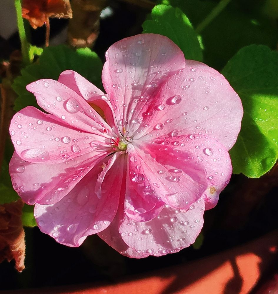 Photograph by Антонина Владимировна Завальнюк