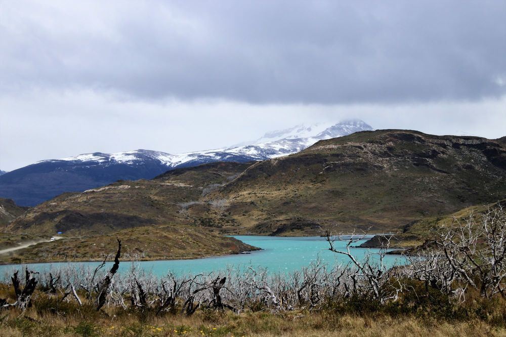 Фотография автора caroline martin (dony)