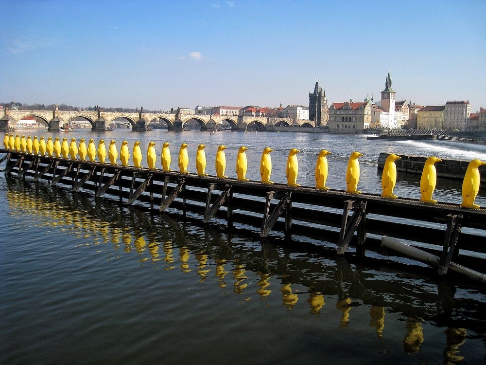 Photograph by Ирина Шилина