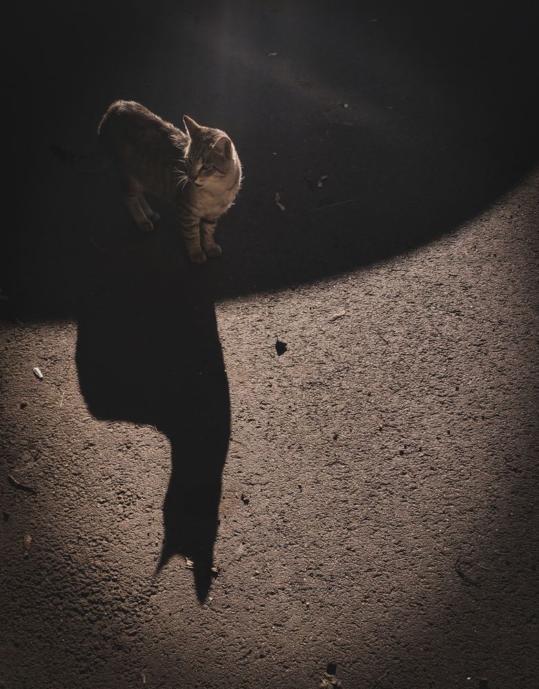 Photograph by Светлана Захарова