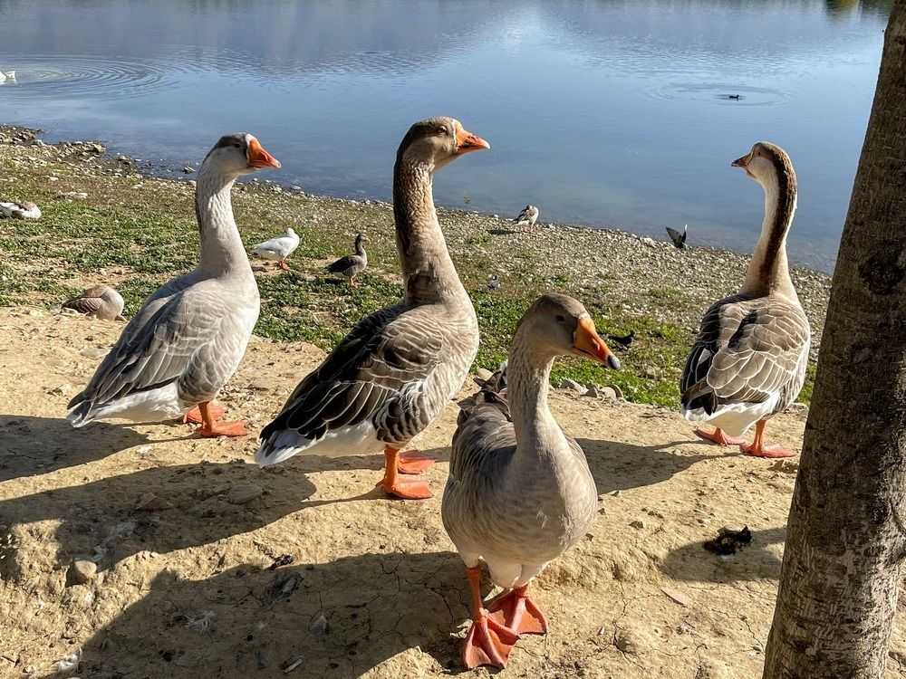 Photograph by Suzana Cakciri