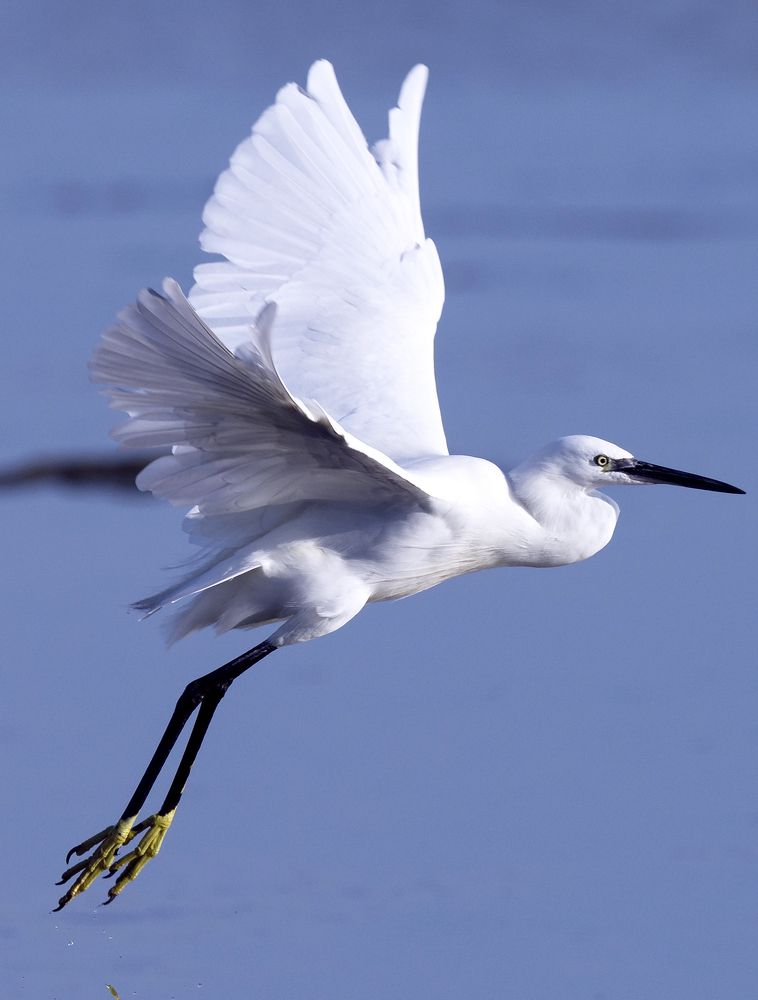 Photograph by Caruso Santino