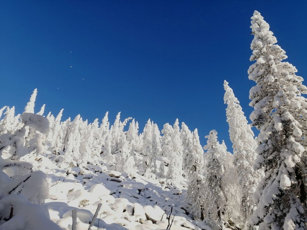 Photograph by Сергей Панков