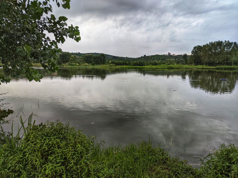 Photograph by mehdi shokravi