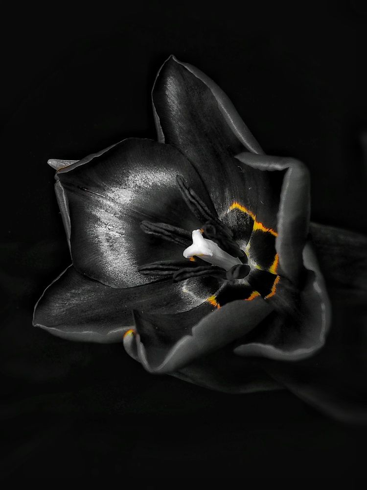 Photograph by Ирина Килина