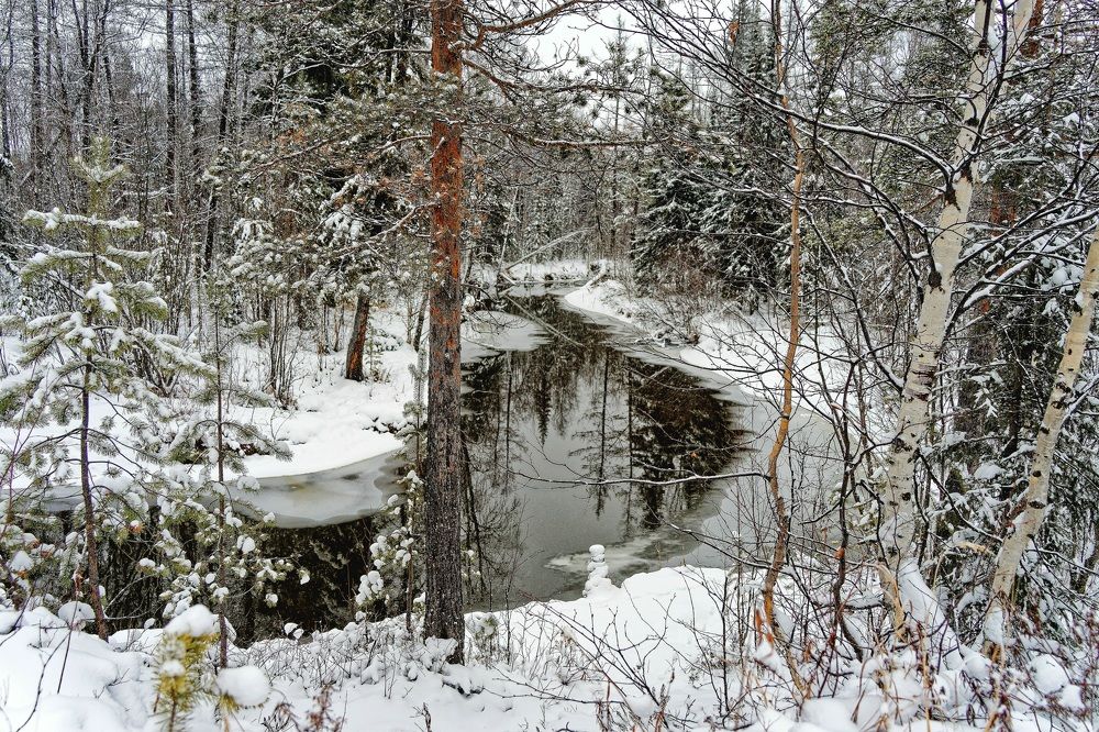 Photograph by Александр Клюев