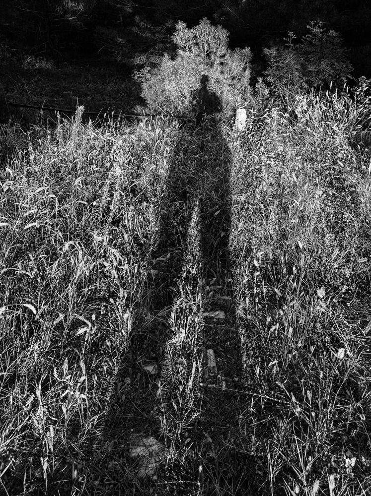 Photograph by Олег Башкуров