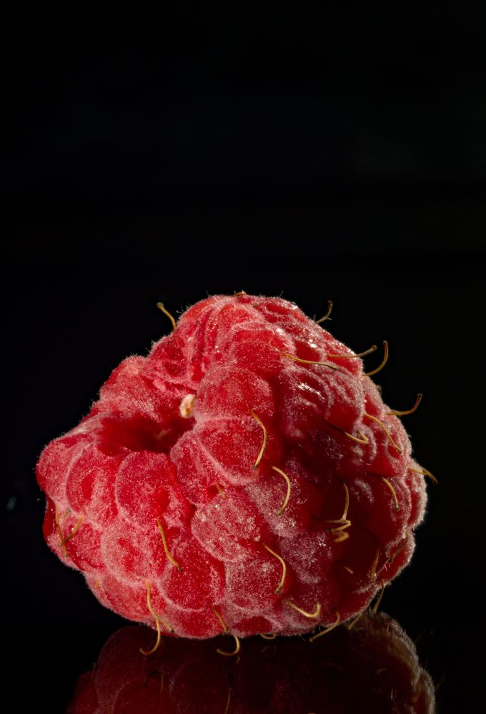 Photograph by Антон Чепуркин