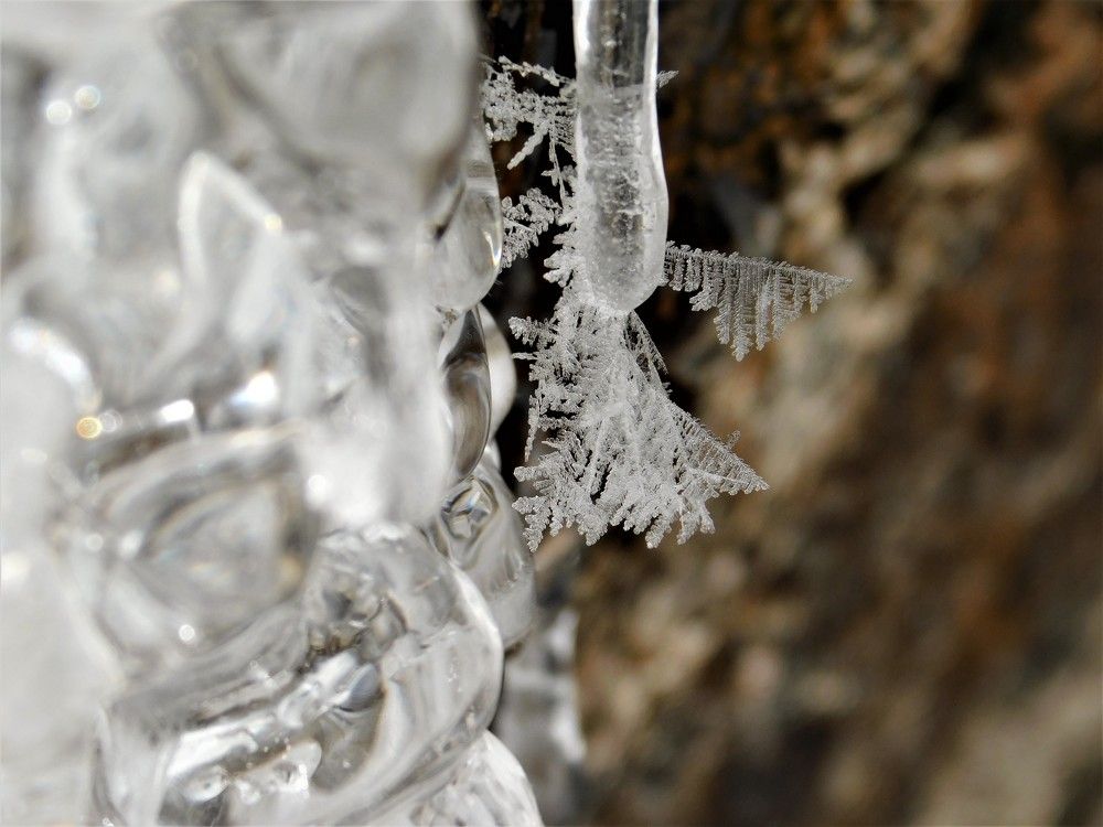 Photograph by Чкареули Светлана