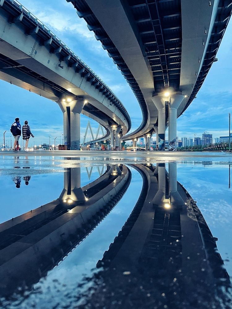 Корни и кроны.