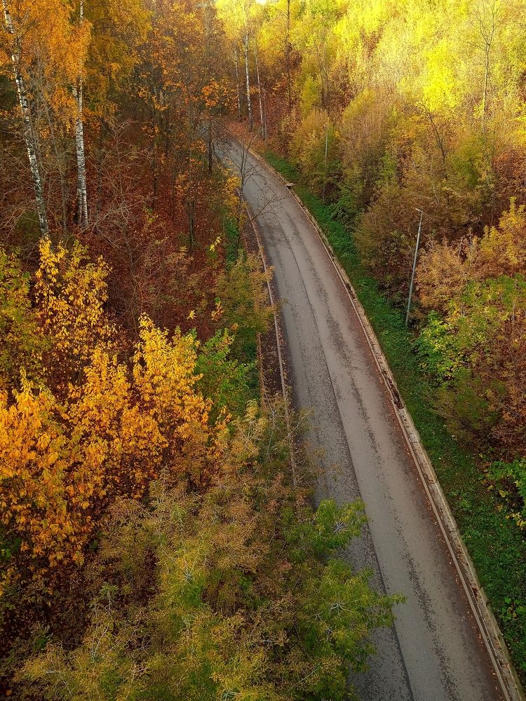 Дальше в Осень