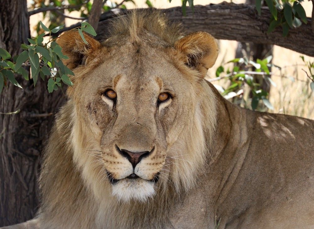 Photograph by Диана Жагрина