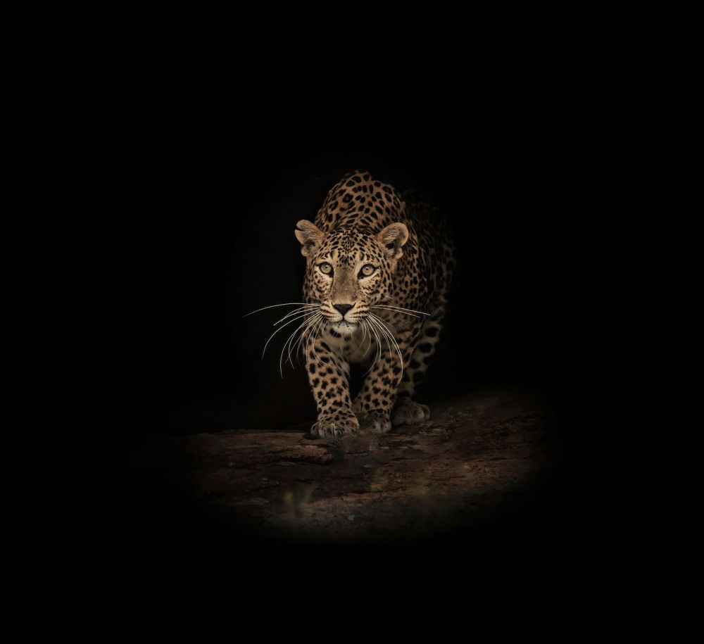 Photograph by Niraj Sharma