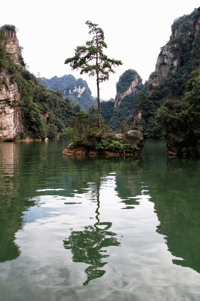 Фотография автора Елена Лаврова