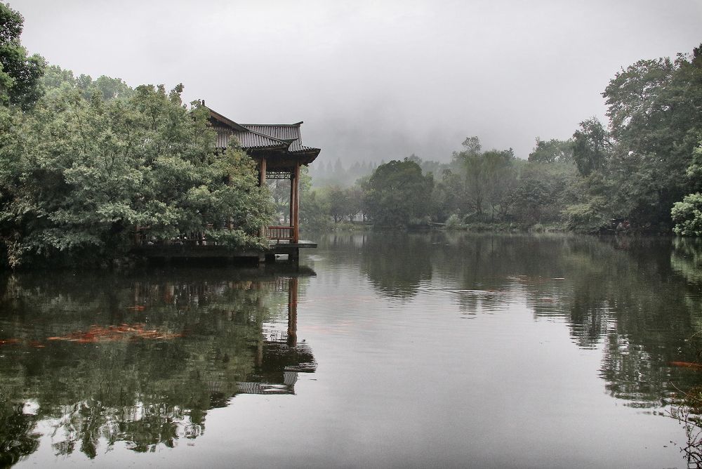 Фотография автора Елена Лаврова