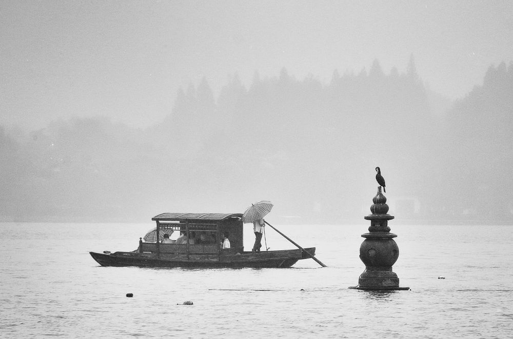 Фотография автора Елена Лаврова