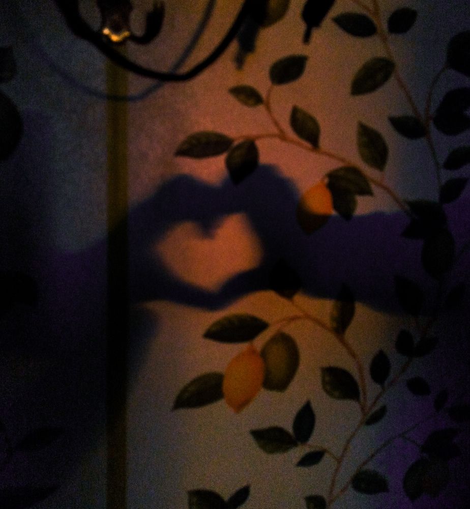 Photograph by Валерия Александровна