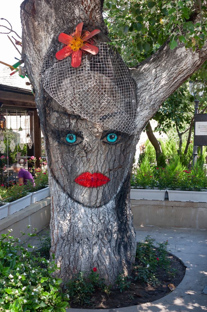 Photograph by Alexandr