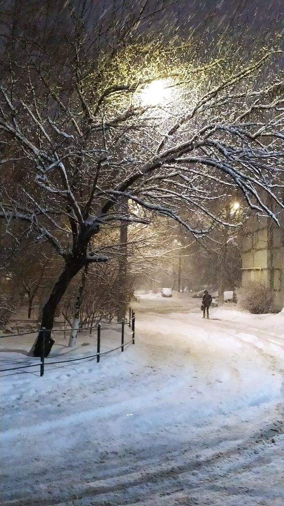 Photograph by Анна Пилипенко