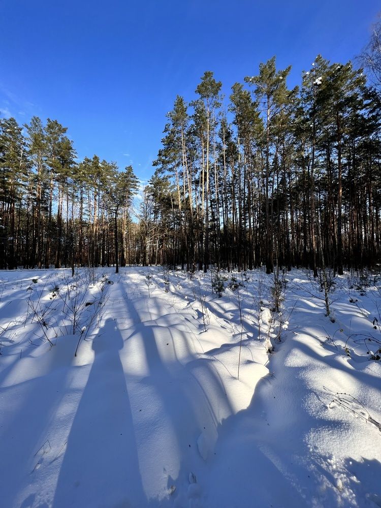 Фотография автора Ирина Мосько