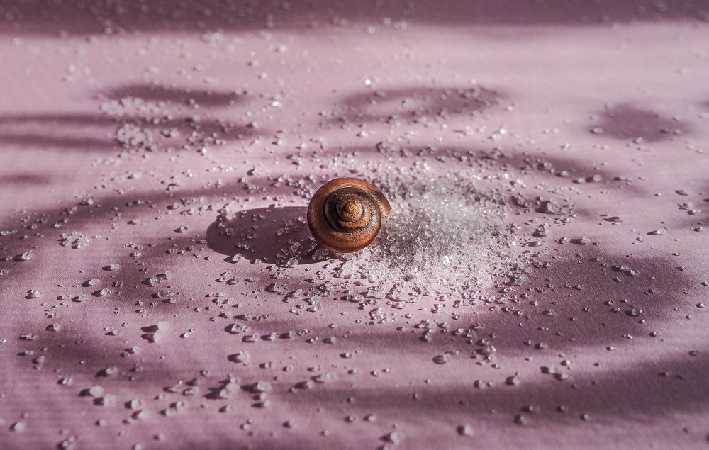 Photograph by Ольга Еженевская