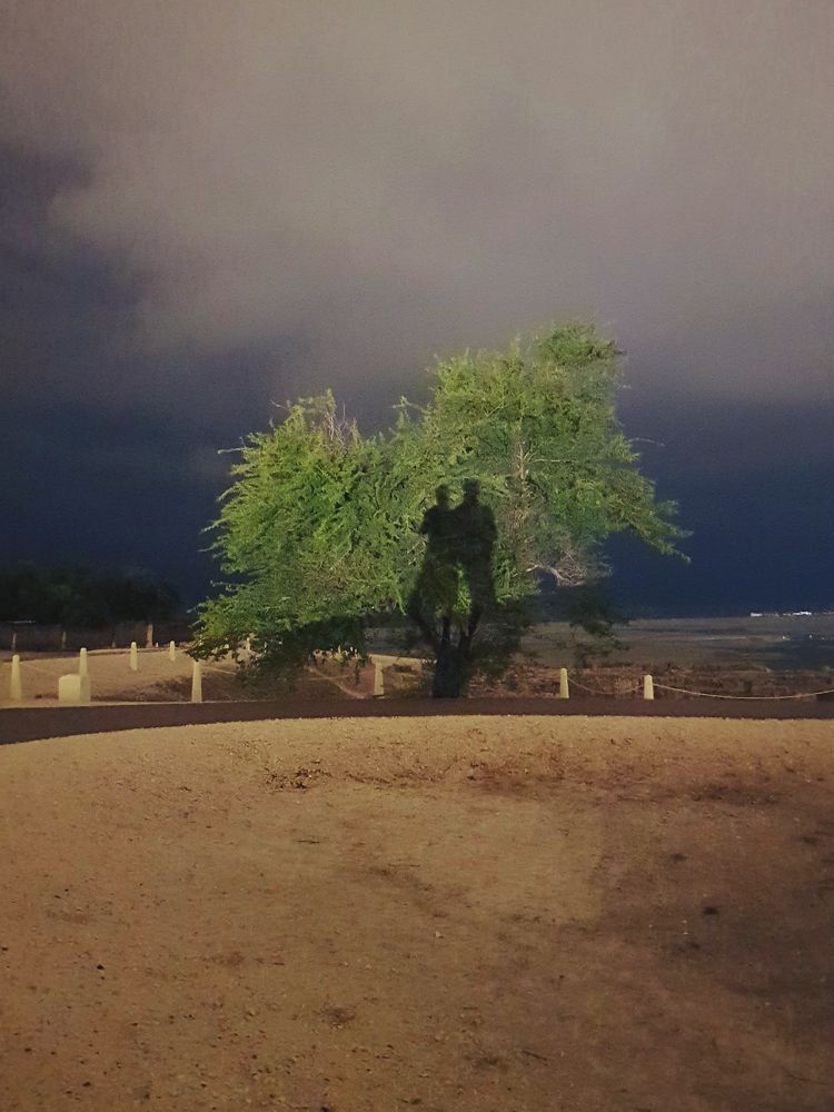 Photograph by Анастасия Немова