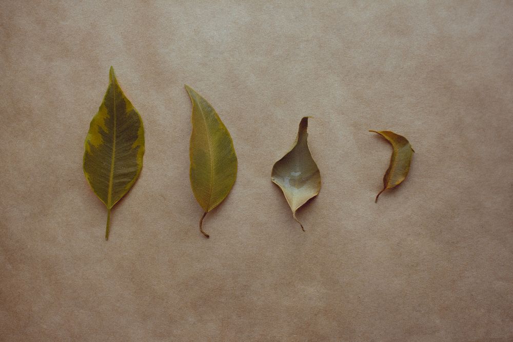 Photograph by Мария Гончарова