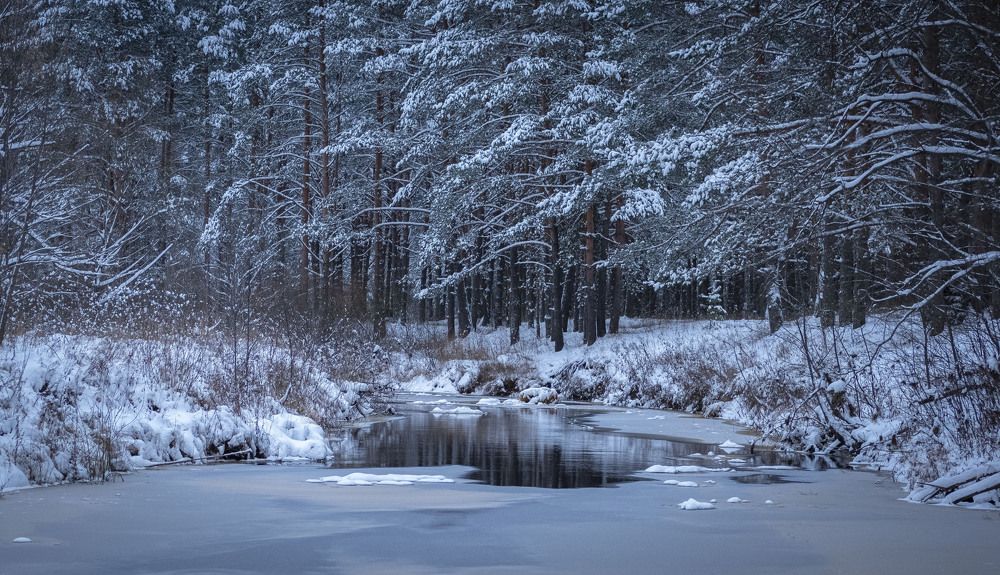 Photograph by Анна Панеева