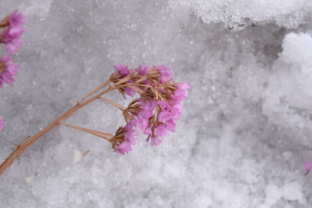 Photograph by  Татьяна Дорожко