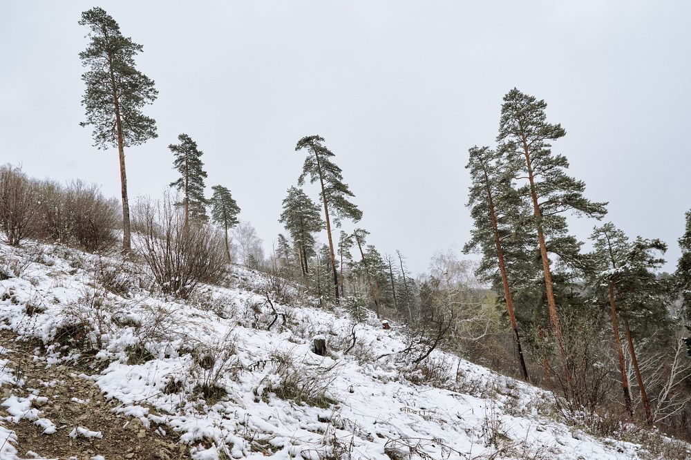 Photograph by Олег Архипов