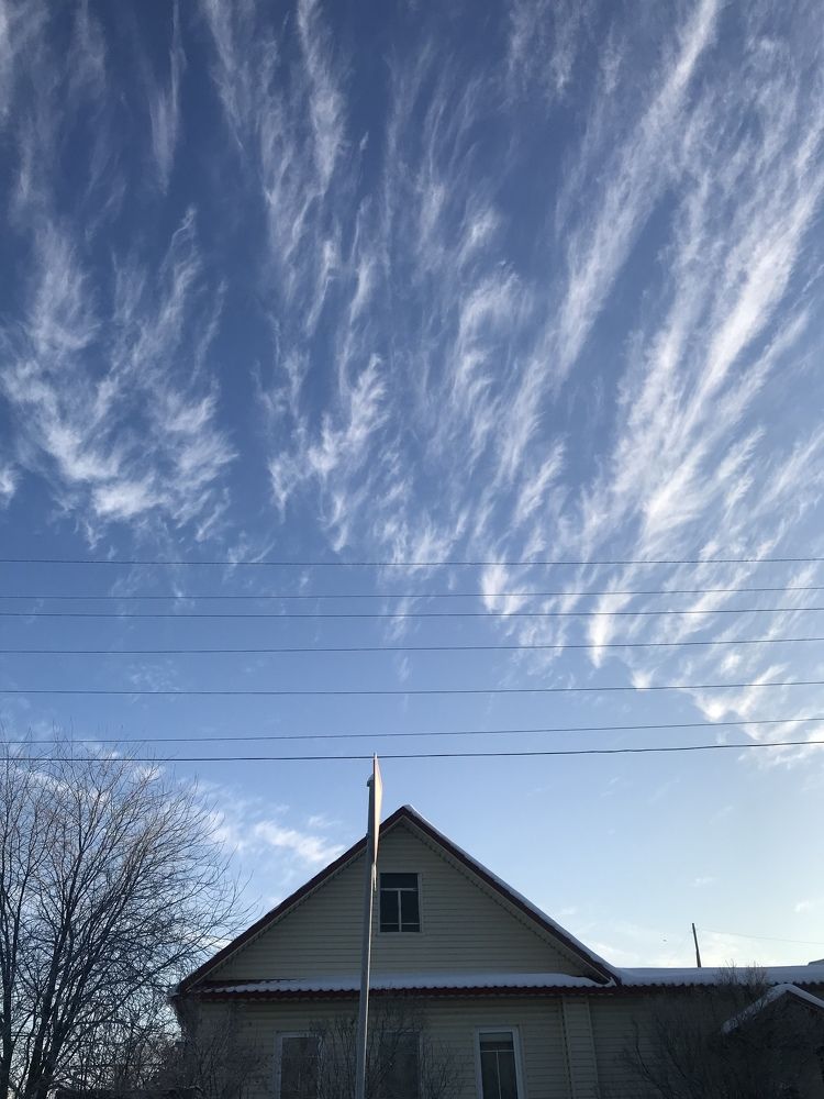 Летние небесные перышки.