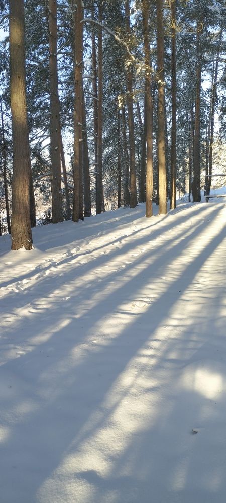Фотография автора Геннадий Коробов