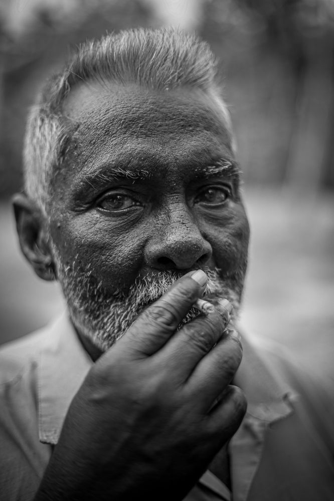 Photograph by Nivedh A.M