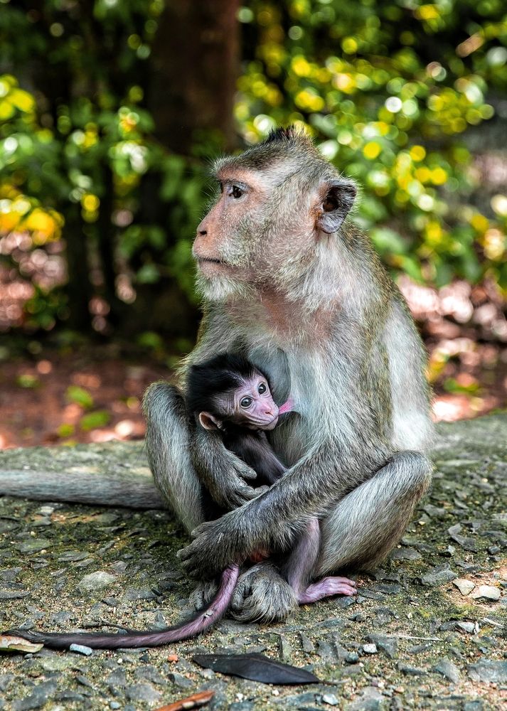Фотография автора Tính Nguyễn
