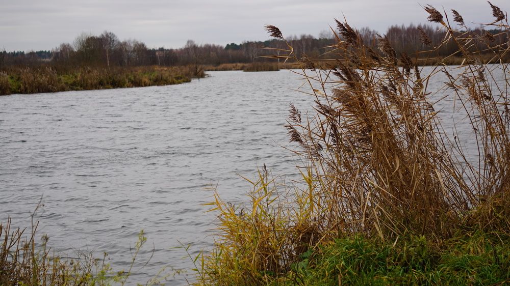 Photograph by Михаил Трусов