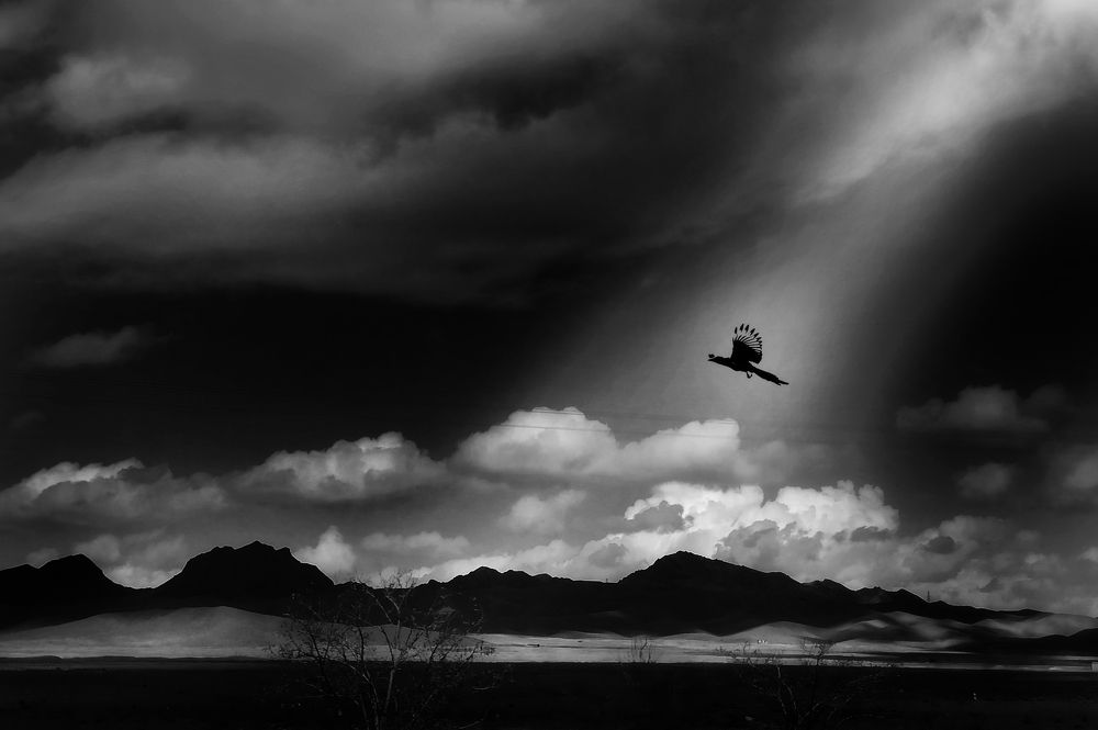 Photograph by Akhoondi Hannaneh