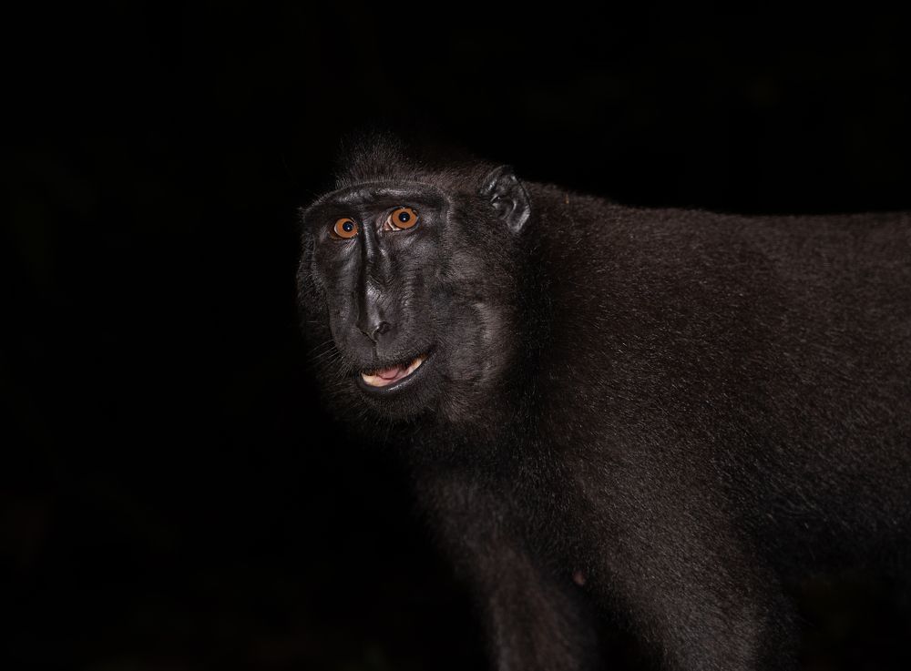 Photograph by Владимир Цветов