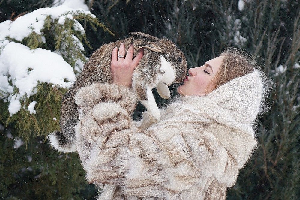 Снежный поцелуй.