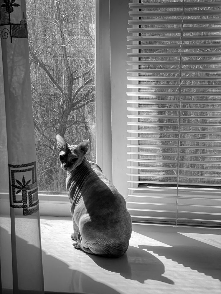 Photograph by Олеся Лагутина