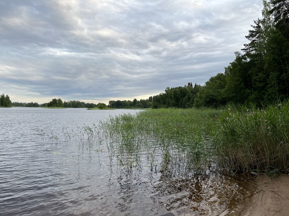 Photograph by Болдырева Ольга