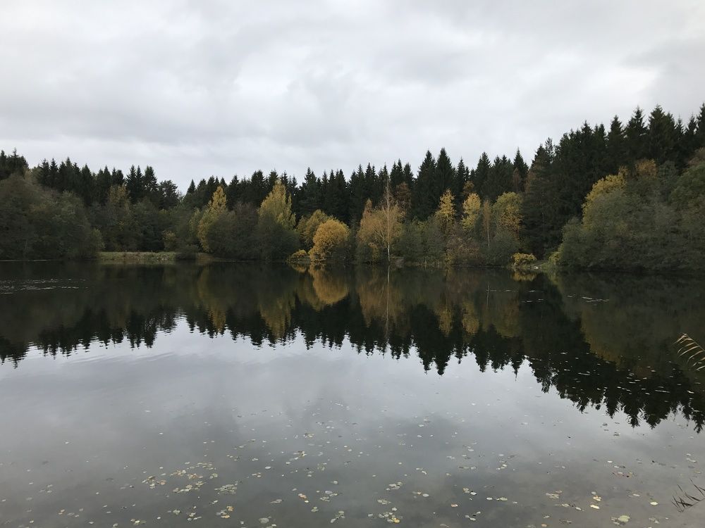 Photograph by Болдырева Ольга