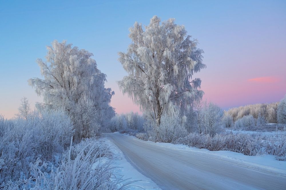 Photograph by Илья Лисаускас